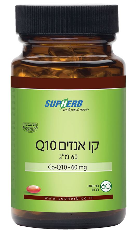 קיו 10 60 מ