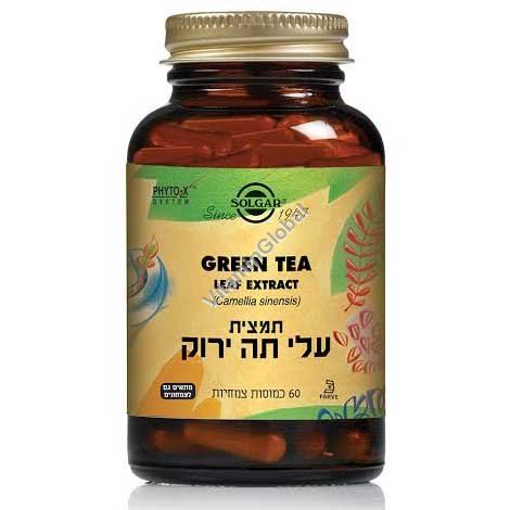 תמצית עלי תה ירוק 60 כמוסות